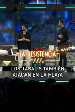 Imagen de Lo + de las... (T5): Jabalíes nadadores - 14.6.22 - 1