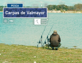 Imagen de Carpas de Valmayor - 2