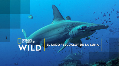 Imagen de El lado 
