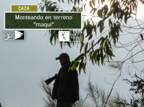 Monteando en terreno 