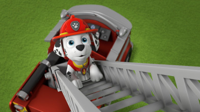 La patrulla canina (T8): La patrulla salva la zarandeadora / La patrulla salva una granja voladora