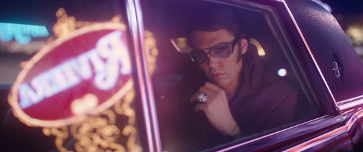 Imagen de Elvis - 3