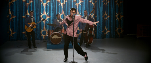 Imagen de Elvis - 4