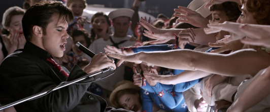 Imagen de Elvis - 5