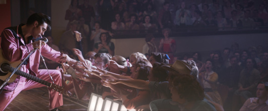 Imagen de Elvis - 7