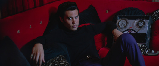 Imagen de Elvis - 8