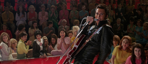 Imagen de Elvis - 10