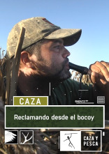 Reclamando desde el bocoy