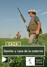 Imagen de Gestión y caza de la Codorniz - 1