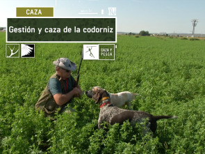 Imagen de Gestión y caza de la Codorniz - 2