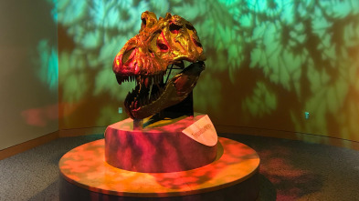 Imagen de Misterios en el museo  - 6