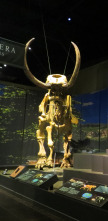 Imagen de Misterios en el museo  - 9