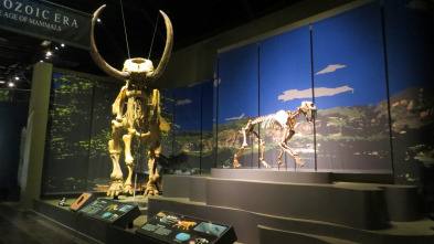 Imagen de Misterios en el museo  - 10