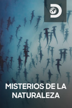 Misterios de la naturaleza 