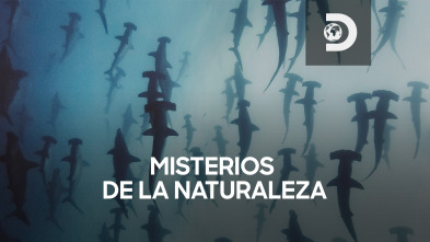 Misterios de la naturaleza 