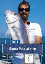 Santa Pola al vivo