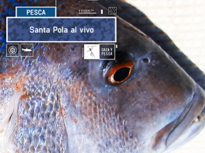 Santa Pola al vivo