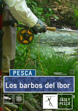 Imagen de Los barbos del Ibor - 1