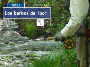 Los barbos del Ibor