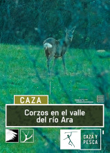 Corzos en el valle del río Ara