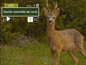 Imagen de Gestión sostenible del corzo - 2