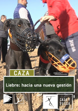 Imagen de Liebre: Hacia una nueva gestión - 1