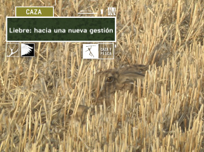 Imagen de Liebre: Hacia una nueva gestión - 2