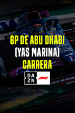 GP de Abu Dabi (Yas...: GP de Abu Dabi: Carrera