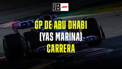 GP de Abu Dabi (Yas...: GP de Abu Dabi: Carrera