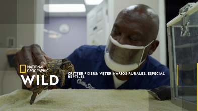 Imagen de Critter fixers: Veterinarios rurales, especial reptiles - 2