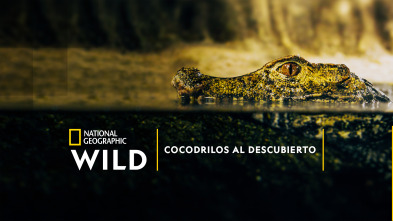 Imagen de Cocodrilos al descubierto - 2