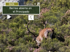 Imagen de Berrea abierta en El Principado - 2