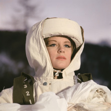 Imagen de El desafío de las águilas - 12