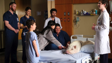 Imagen de The Good Doctor (T6): Ep.2 Cambio de perspectiva - 1