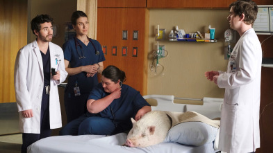 Imagen de The Good Doctor (T6): Ep.2 Cambio de perspectiva - 4