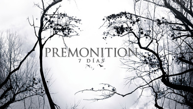 Imagen de Premonition - 2