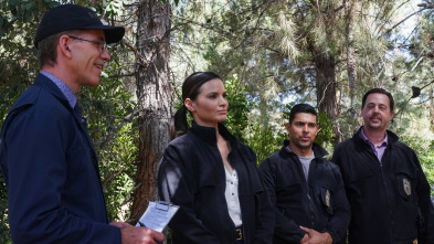 Imagen de NCIS: Naval... (T20): Ep.4 Sin dejar rastro - 4