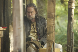 Imagen de Pig - 7