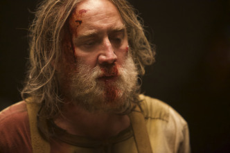 Imagen de Pig - 8