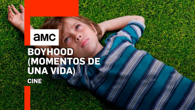 Boyhood. Momentos de una vida