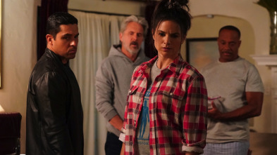 Imagen de NCIS: Naval... (T20): Ep.6 La luchadora buena - 4