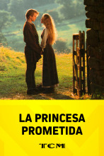 Imagen de La princesa prometida - 1