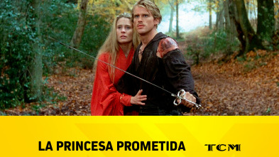 Imagen de La princesa prometida - 2