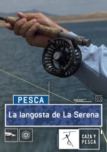 Imagen de La Langosta de La Serena - 1