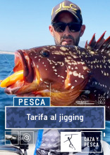 Imagen de Tarifa al jigging - 1