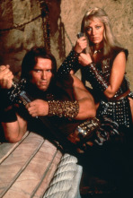 Imagen de Conan, el bárbaro - 14