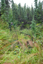 Cráteres en el Ártico