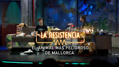 Imagen de Lo + de las... (T6): El animal más peligroso de Mallorca - 8.11.22 - 2