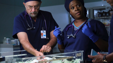 Imagen de The Good Doctor (T6): Ep.7 De la A a la F - 3