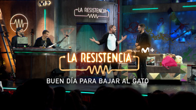 Imagen de Lo + de Ponce (T6): Rescate gatuno - 21.11.22 - 2
